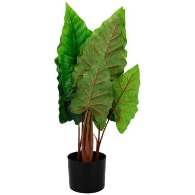 Alocasia Tree 85 cm
